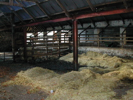 Abernyte Farm 2008 012