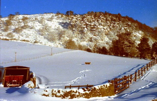 Abernyte Hill 1978