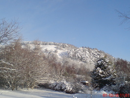 Abernyte Hill