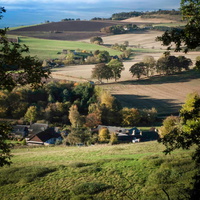 Autumn colours from Kirkton Hill Abernyte5