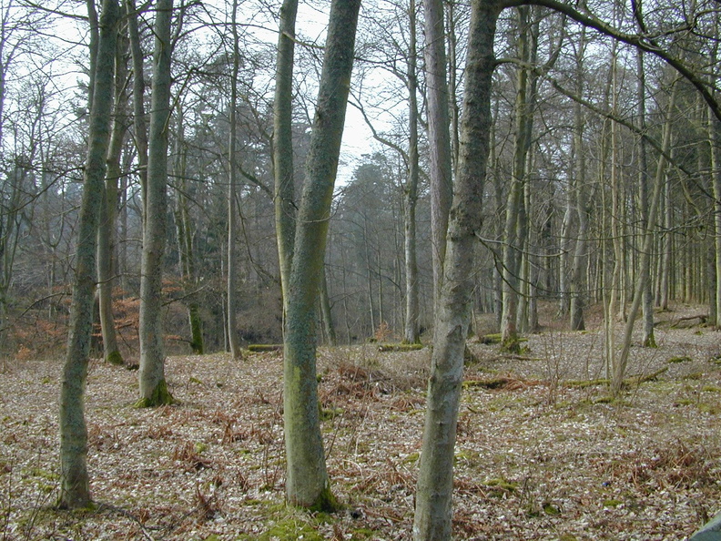 KnappRdOverWall2.jpg