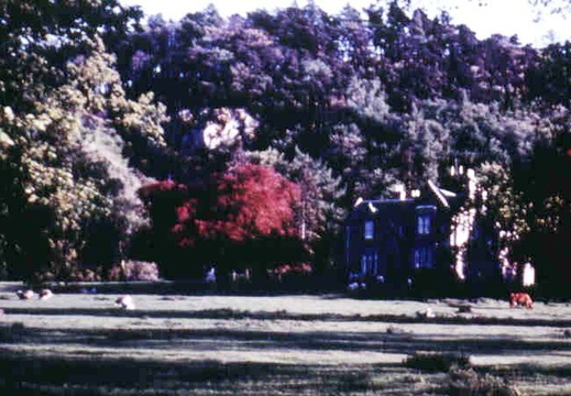 Abernyte House before trees cut down