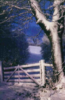 Gate on Pitkindie Road copy