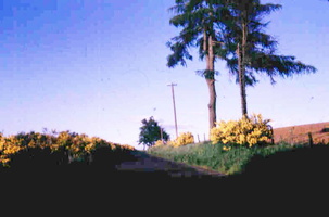 Glen road east of Ballolays