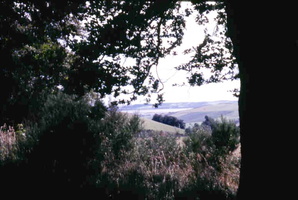 Glimpse of the Carse from the Hillock