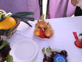 DSC 0177
