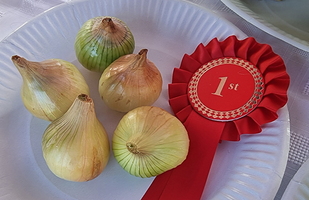 Abernyte Festival 2024-108