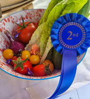 Abernyte Festival 2024-109