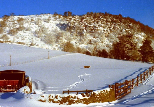 Abernyte Hill 1978