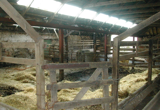 Abernyte Farm 2008 028
