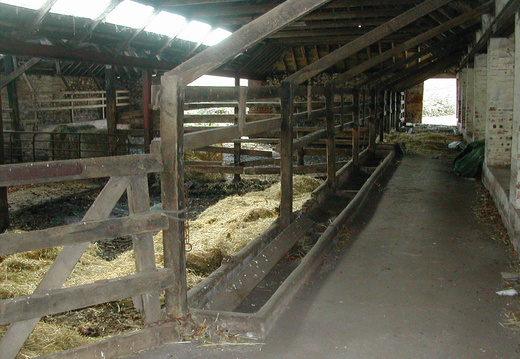 Abernyte Farm 2008 029