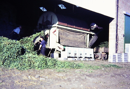 The viner at Abernyte Farm c1973